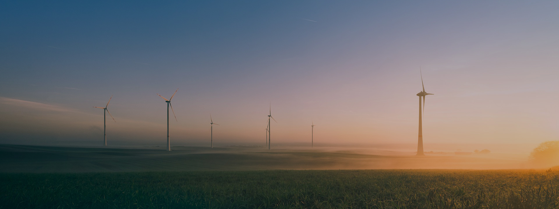 ΰ�¹���(victor1946)�ٷ���վ-Officials Website