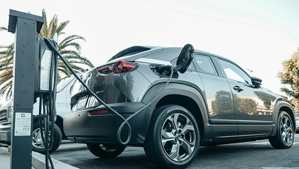 ΰ�¹���(victor1946)�ٷ���վ-Officials Website