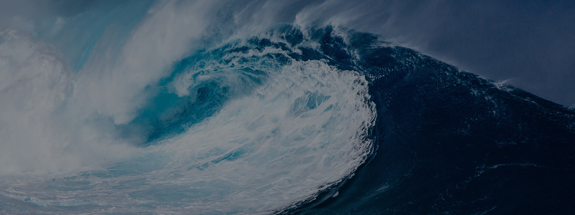 ΰ�¹���(victor1946)�ٷ���վ-Officials Website