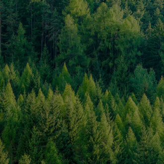 ΰ�¹���(victor1946)�ٷ���վ-Officials Website