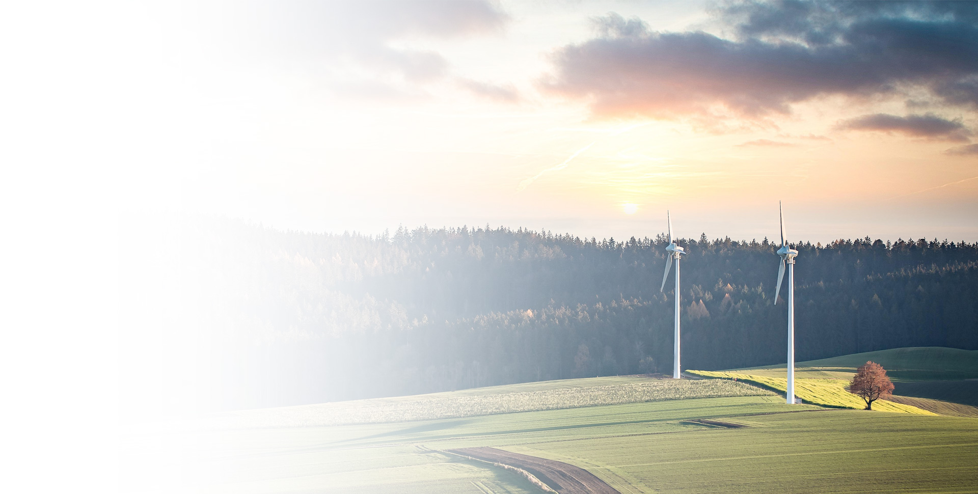 ΰ�¹���(victor1946)�ٷ���վ-Officials Website